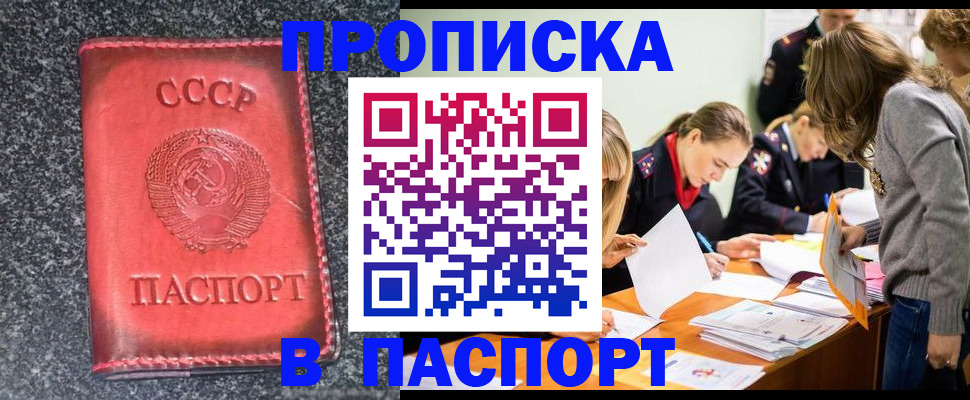 прописка для школы в Кондрово